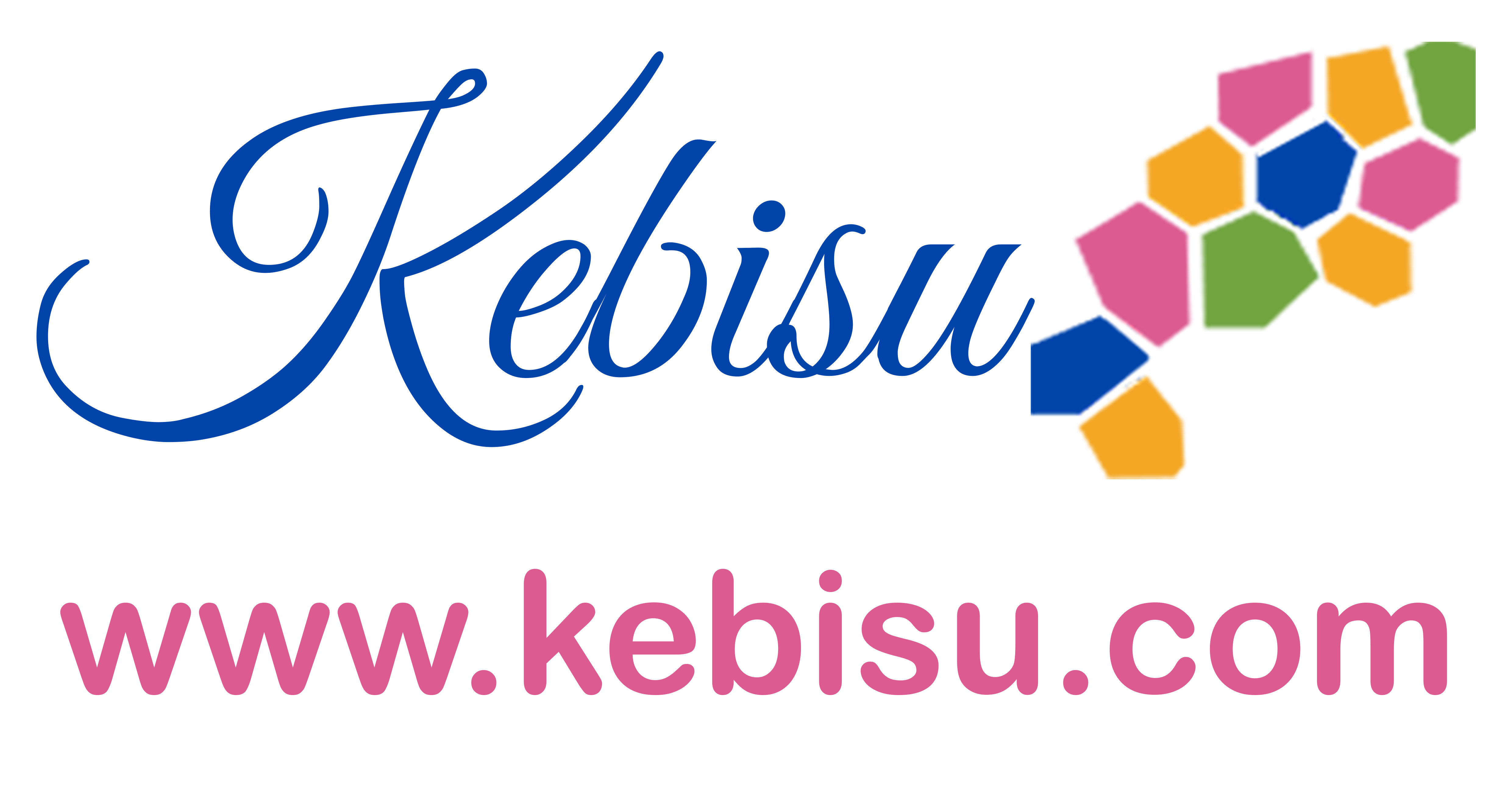 KEBISU : Le soutien scolaire 100% camerounais